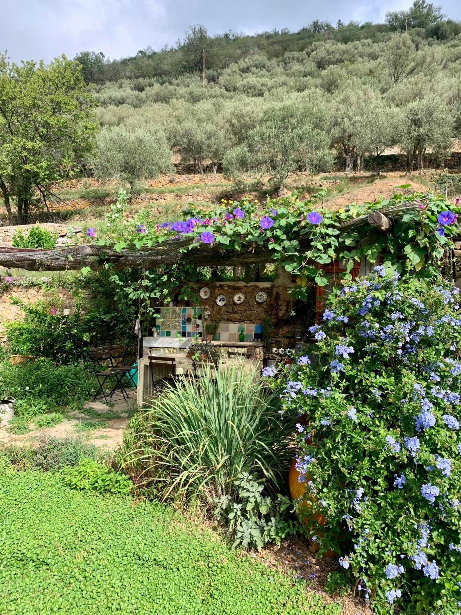 B&B Ca De Badin Noli Exterior foto